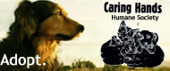 Adopt from Caring Hands Humane Society