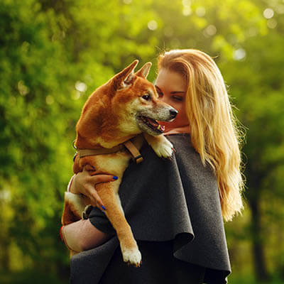 Girl and dog Shiba Inu cuddling in a spring park. Walking with a pet. Pedigree dog. Walking dogs. Dog happiness.