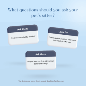 Read more about the article How to Choose a Pet Sitter Your Pet Will Love