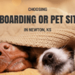 choosing pet sitting or dog boarding in newton, ks
