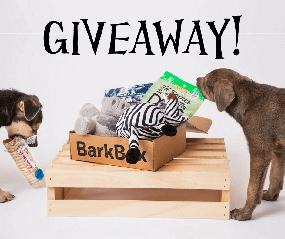 Read more about the article Win a BarkBox!
