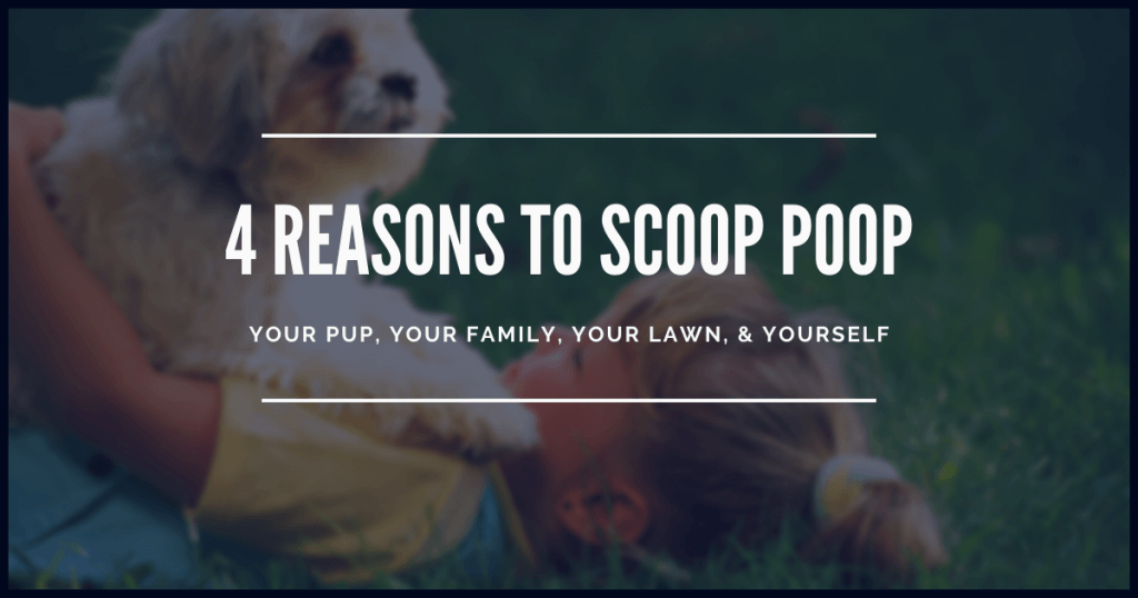 Scop Poop 4 Reasons to Scoop Poop! – Newton and Wichita Pet Care