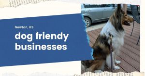 Read more about the article Dog-Friendly Businesses in Newton, Kansas