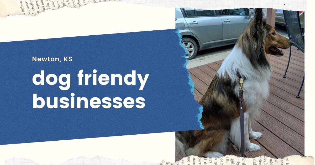 You are currently viewing Dog-Friendly Businesses in Newton, Kansas