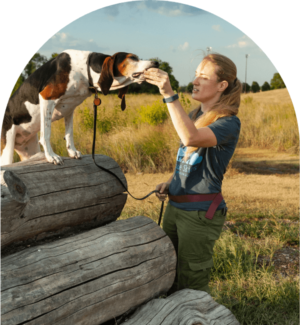 vanessa (head trainer) dog training a hound