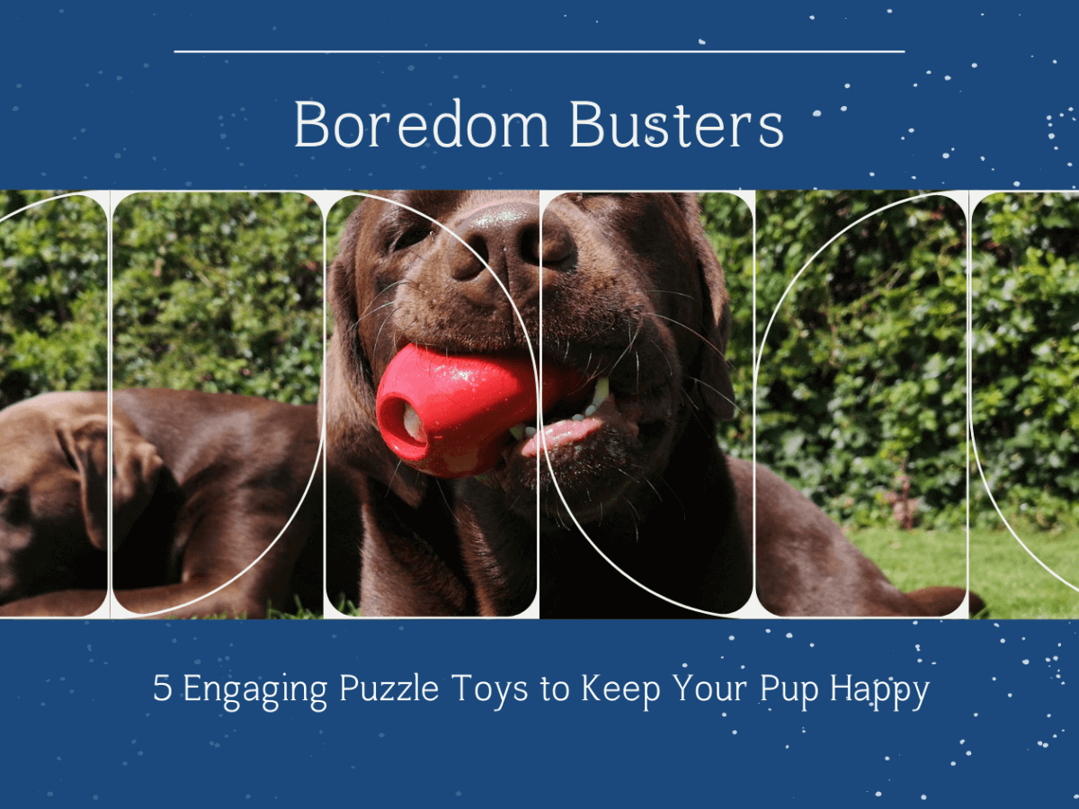 Boredom Busters for Dogs: 5 Engaging Puzzle Toys to Keep Your Pup