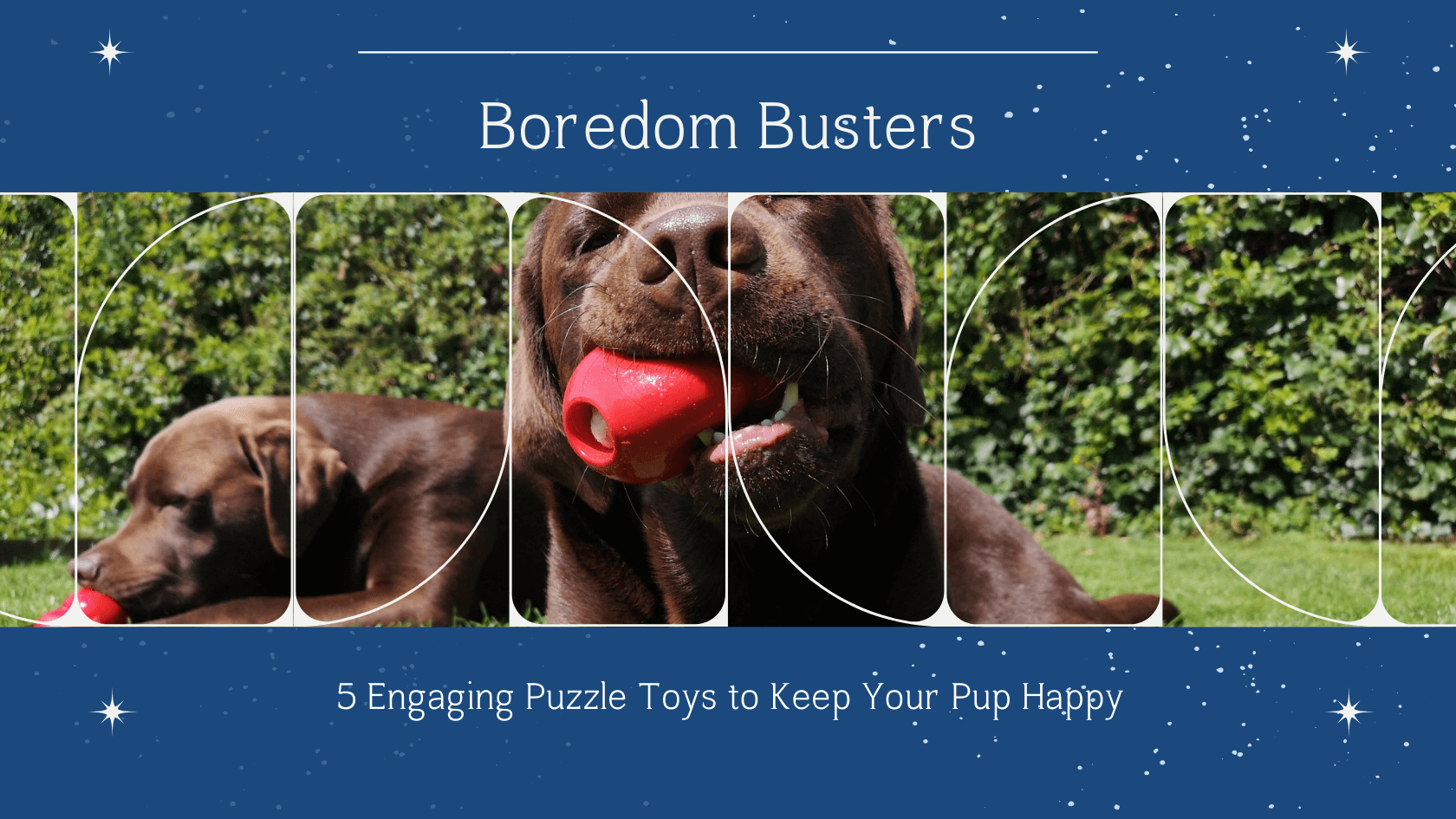Read more about the article Boredom Busters for Dogs: 5 Engaging Puzzle Toys to Keep Your Pup Happy