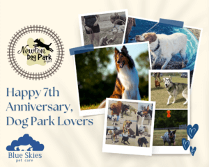 Read more about the article Celebrating 7 “Paw-some” Years of Centennial Dog Park: A Community Treasure 🐾🎉