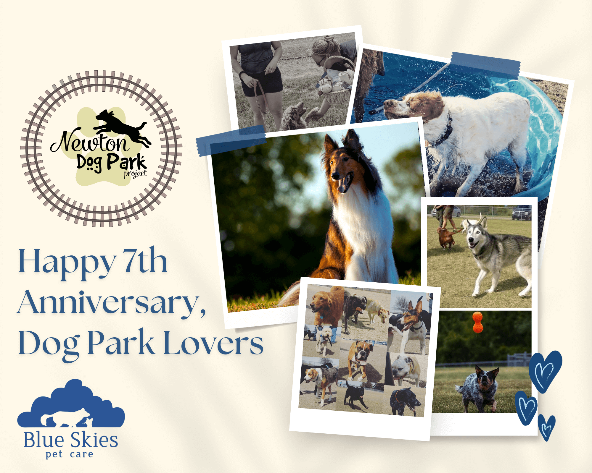 You are currently viewing Celebrating 7 “Paw-some” Years of Centennial Dog Park: A Community Treasure 🐾🎉