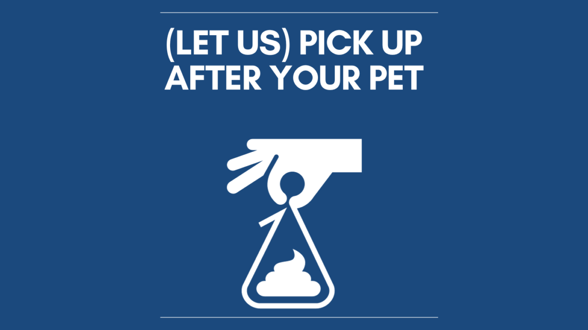 Keep Your Yard Clean and PetFriendly with Blue Skies Pet Care’s Poop