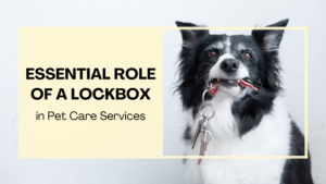 Read more about the article The Essential Role of a Lockbox in Pet Care Services