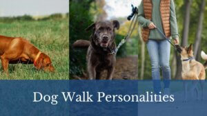 Read more about the article Dog Walking Personalities: How to Make the Most of Your Dog’s Walk