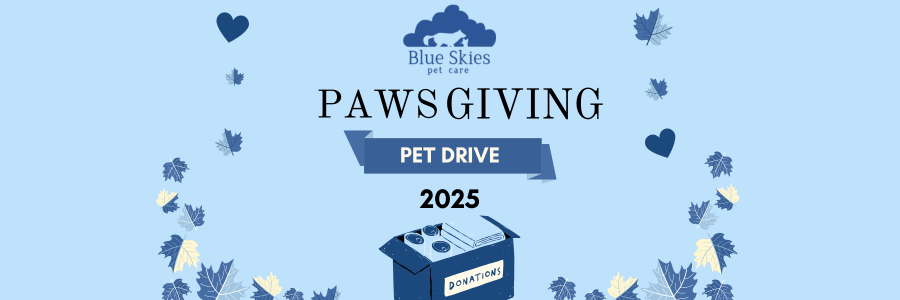 You are currently viewing Pawsgiving 2025: Helping Local Pets Through Caring Hands Humane Society