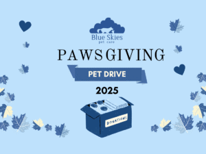 Read more about the article Pawsgiving 2025: Helping Local Pets Through Caring Hands Humane Society