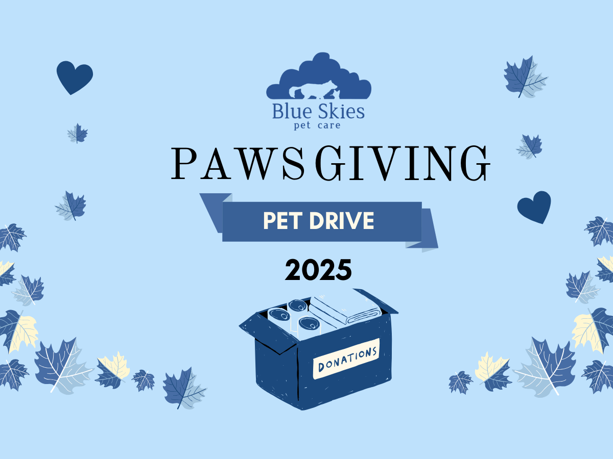 Read more about the article Pawsgiving 2025: Helping Local Pets Through Caring Hands Humane Society