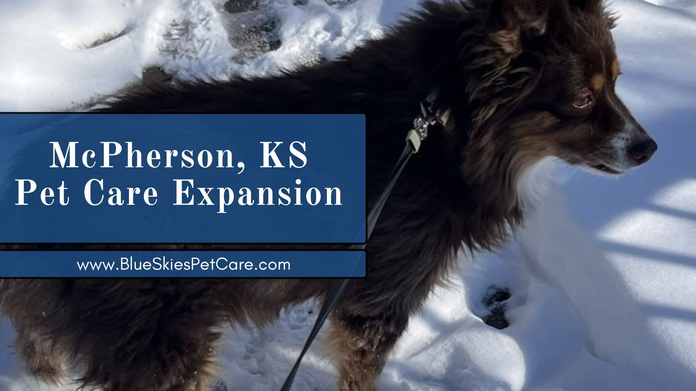 Read more about the article Supporting McPherson Pet Families: Expanded Pet Care Service Area Coverage