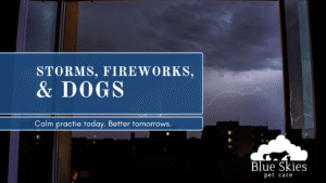 Read more about the article Storms, Fireworks, and Dogs: How to Help Your Dog Feel Safer BEFORE the Big Booms