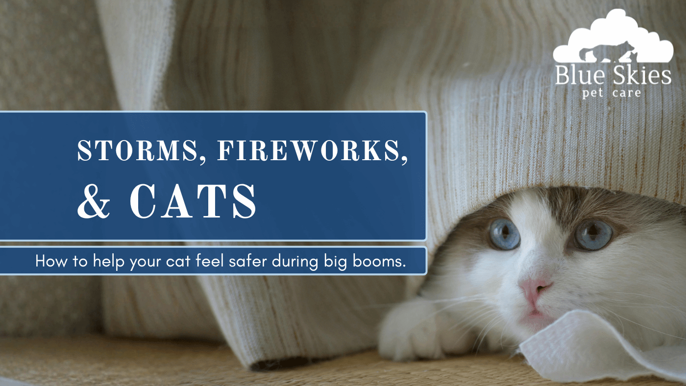 You are currently viewing Storms, Fireworks, and Cats: How to Help Your Cat Feel Safer During Big Booms