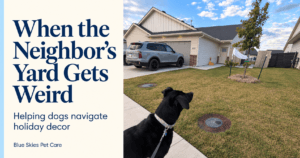 Read more about the article When the Neighbor’s Yard Gets Weird: Helping Your Dog Feel Comfortable with Holiday Decorations